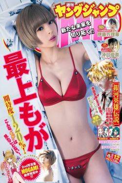 燕倾天下